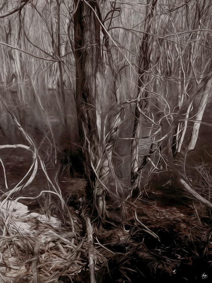 Floodplain Forest Vines in Sepia Photograph by Wayne King