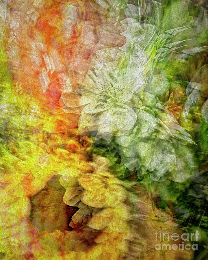 Abstract Digital Art - Flora Abstracta by Edmund Nagele FRPS