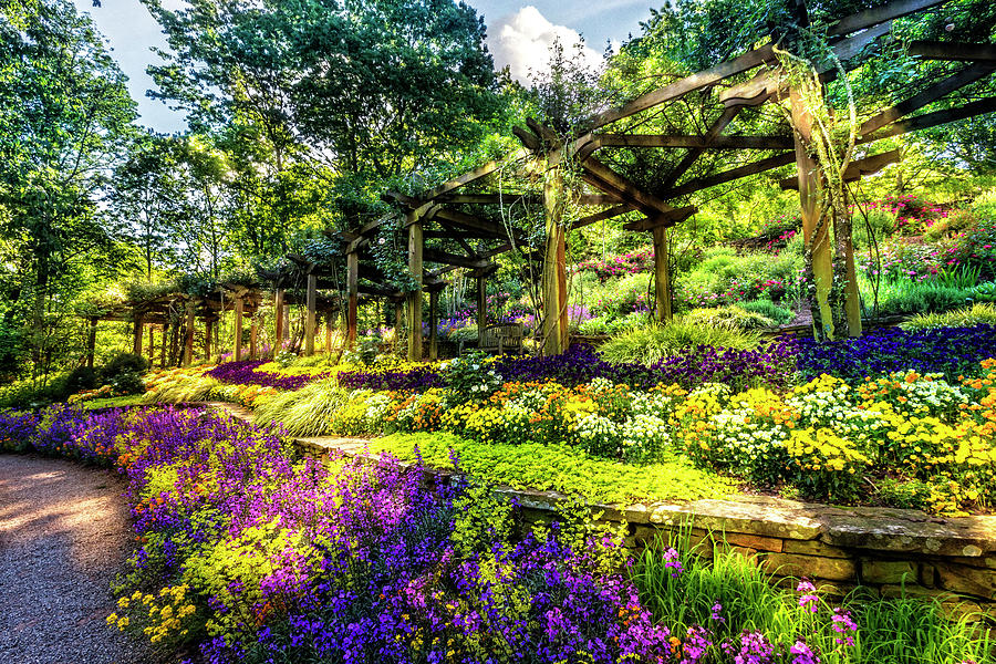 Spring Photograph - Floral Abundance in the Garden by Debra and Dave Vanderlaan