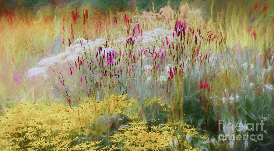Floral Art - Late Summer Garden Photograph by Philip Preston