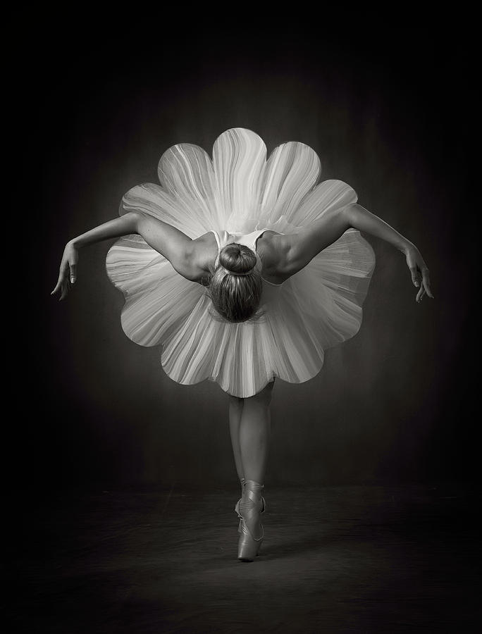 Black And White Photograph - Floral Ballet by Ross Oscar