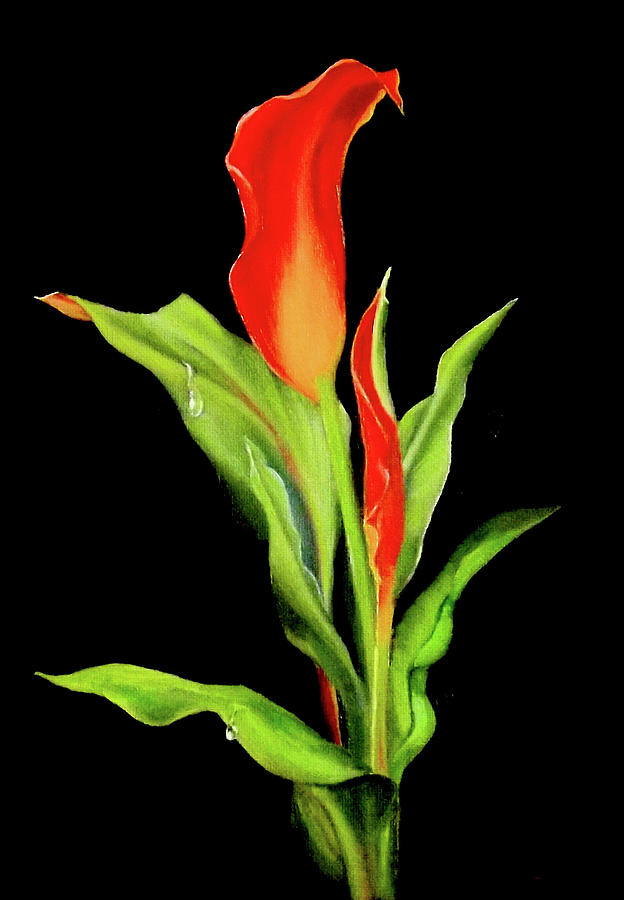 FLORAL by Barry BLAKE FLORAL by Barry BLAKE