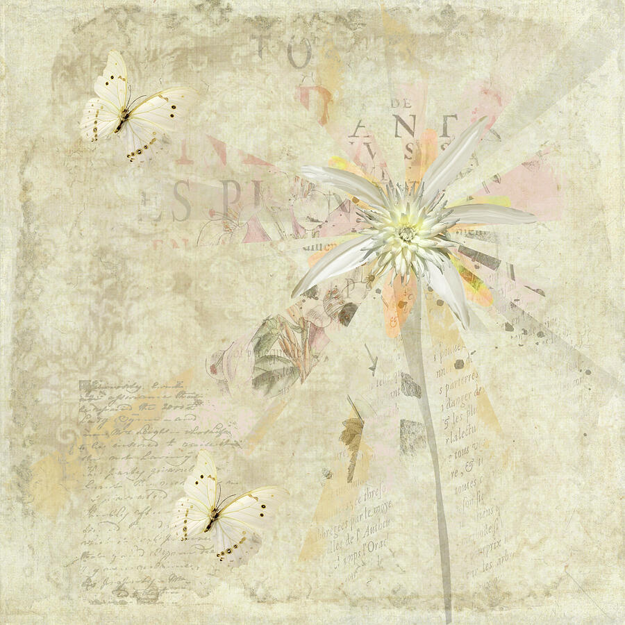 Floral Montage Digital Art by Marilyn Wilson