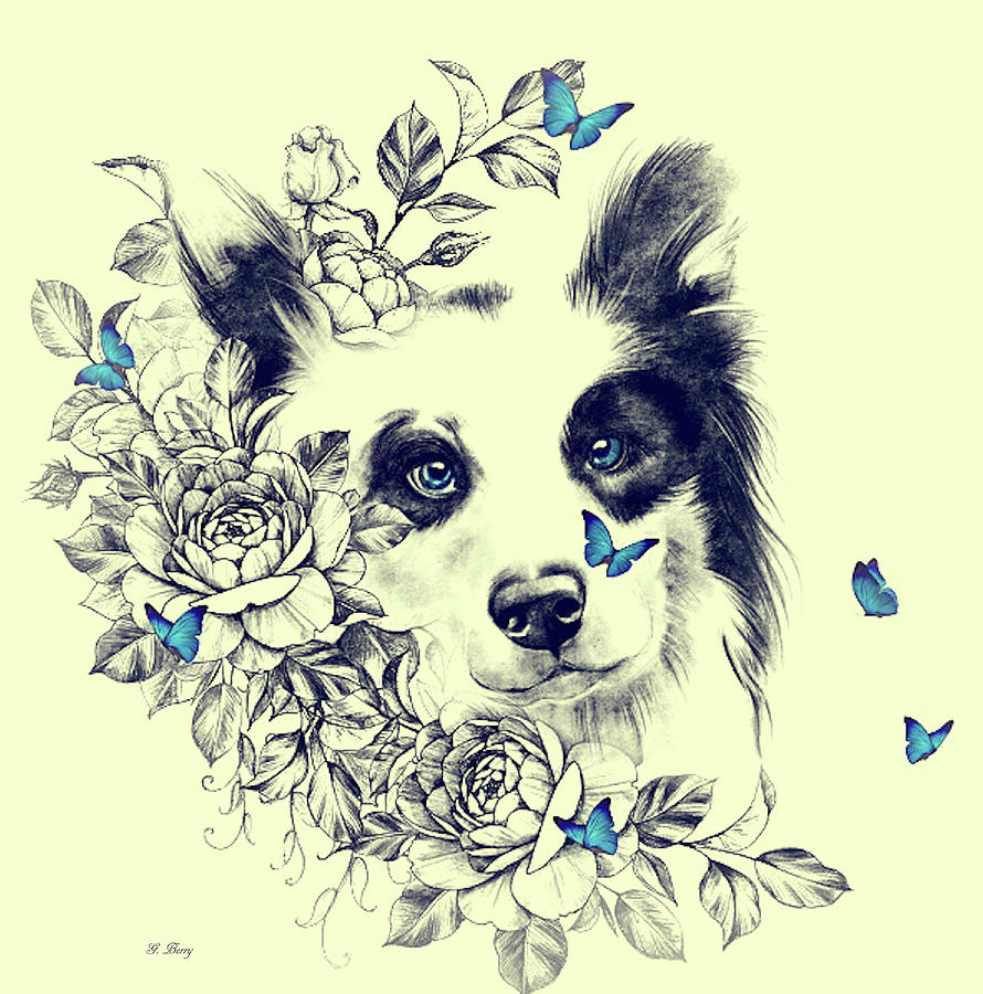 FLORAL COLLIE 002 by G Berry FLORAL COLLIE 002 by G Berry