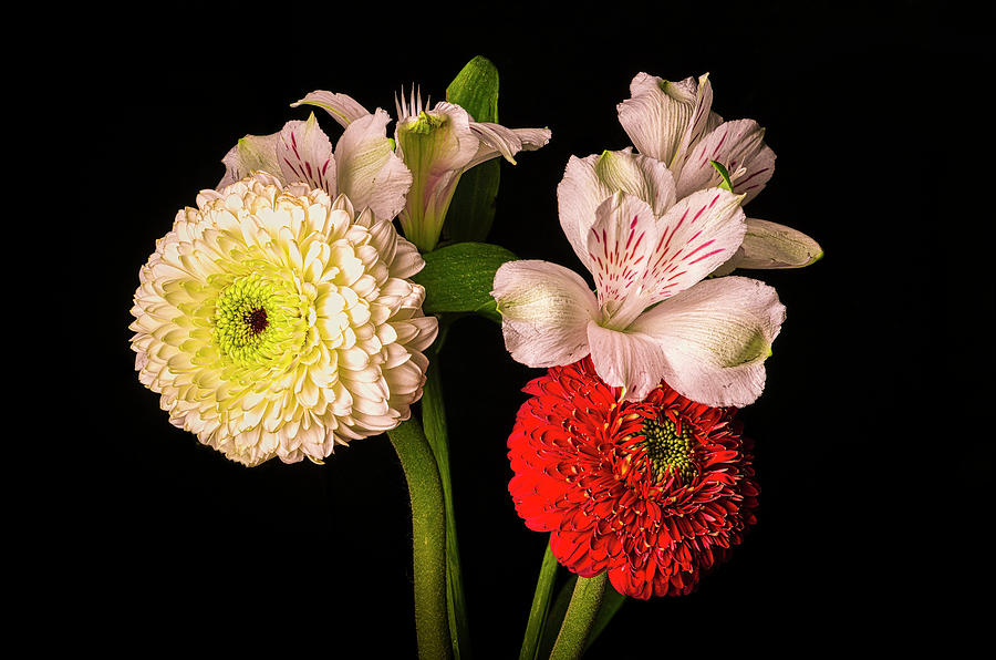 Floral combination by David Chiles Floral combination by David Chiles