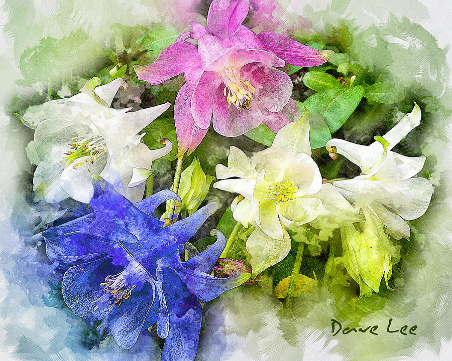 Floral Concert of Color Digital Art by Dave Lee