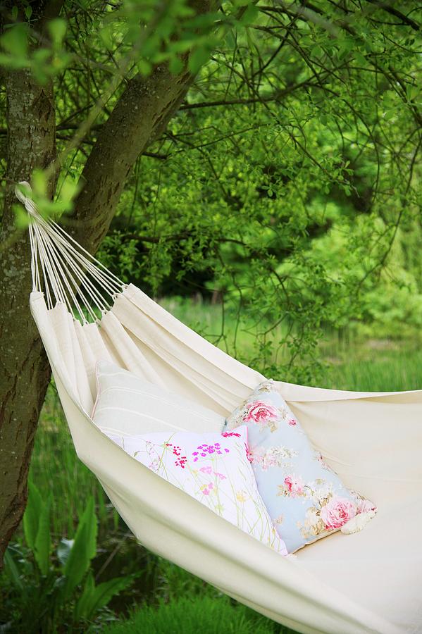 Floral Cushion In Ecru Hammock Hanging From Tree Photograph by Winfried Heinze