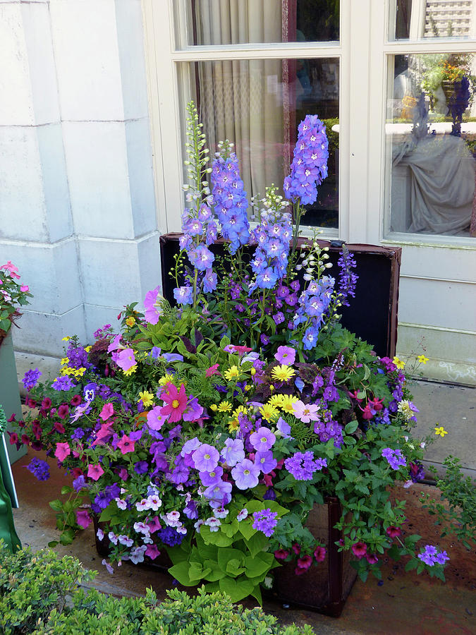 Floral Display by Toni Leland Floral Display by Toni Leland