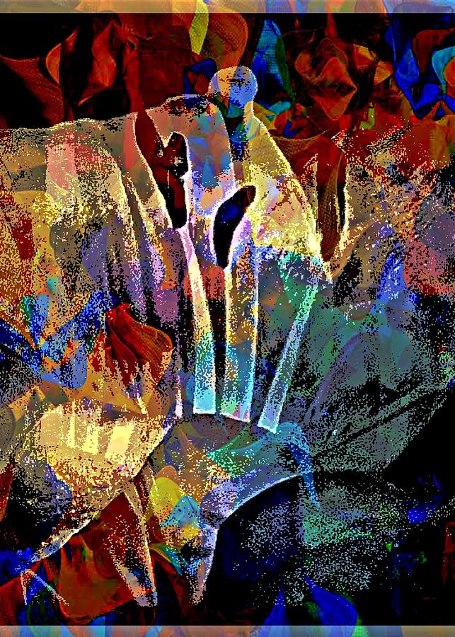 Floral Fabrics Digital Art by Tommy McDonell