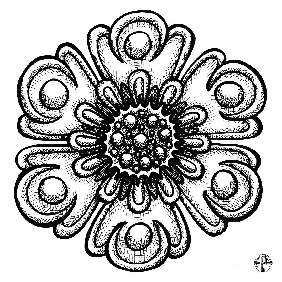 Floral Icon 16 Drawing by Amy E Fraser