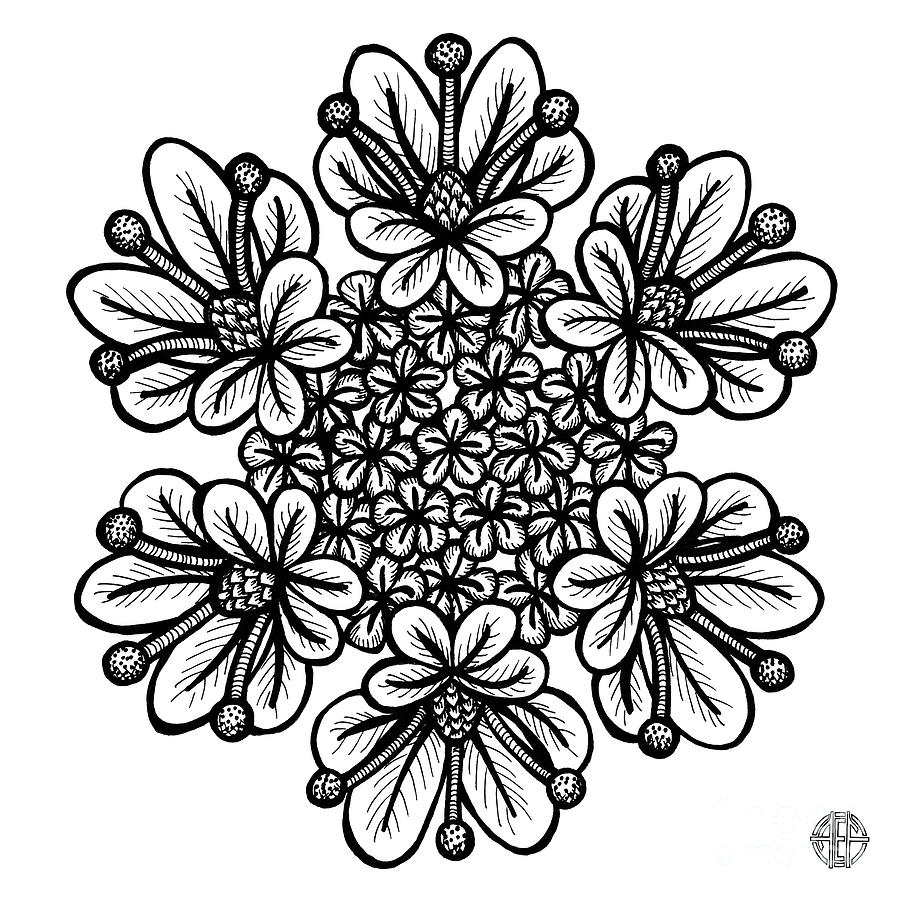 Floral Icon 3 Drawing by Amy E Fraser