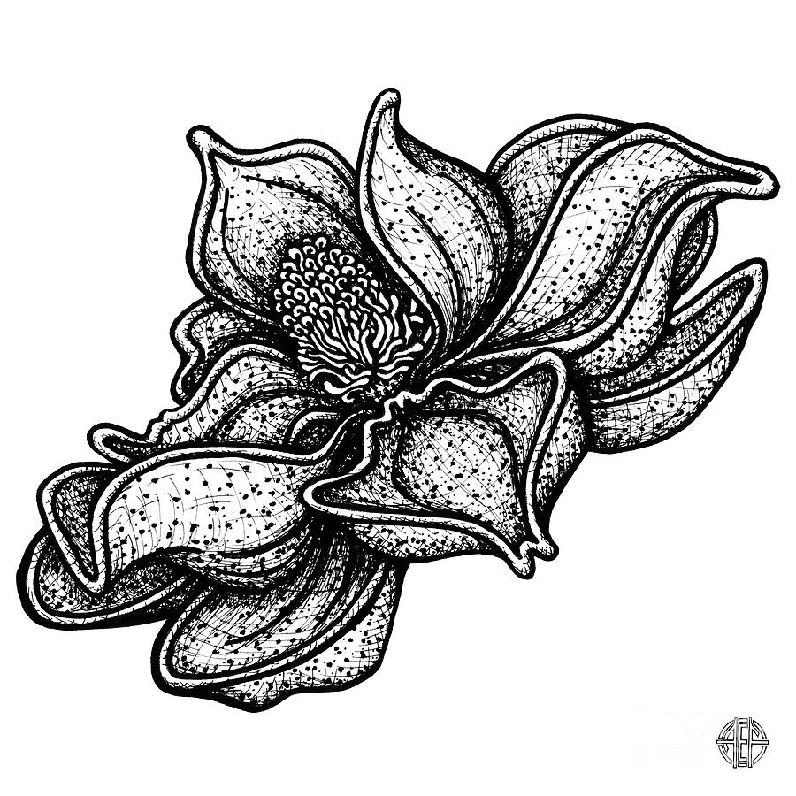Floral Icon 35 Drawing by Amy E Fraser