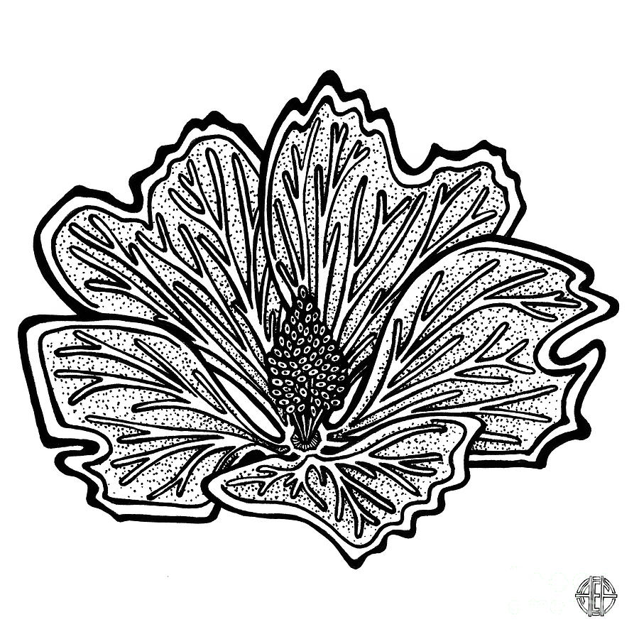 Floral Icon 39 Drawing by Amy E Fraser