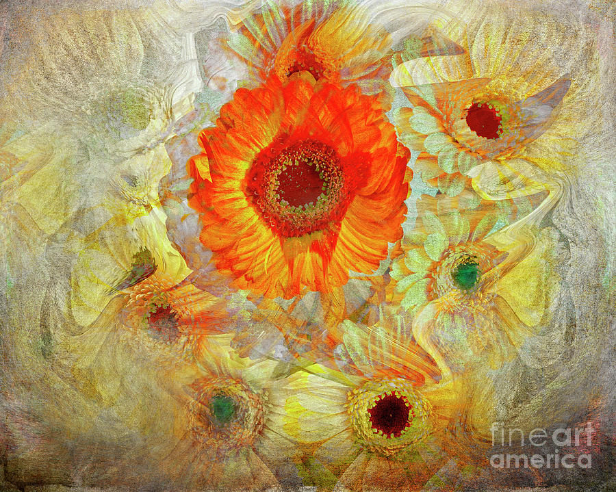 Floral Joy Digital Art by Edmund Nagele FRPS