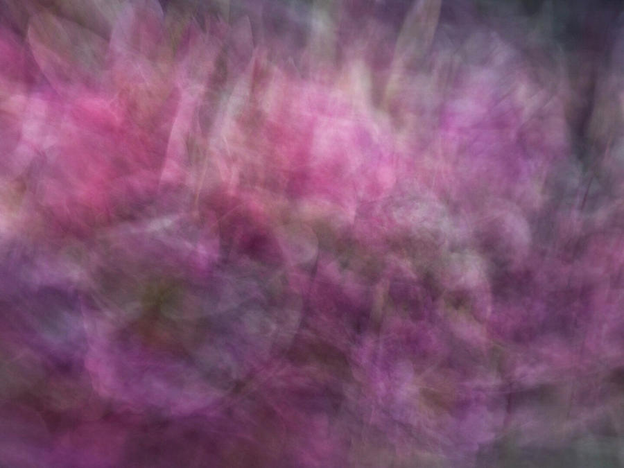 Floral like abstract background of pinks, purples and green patterned artwork Photograph by Teri Virbickis