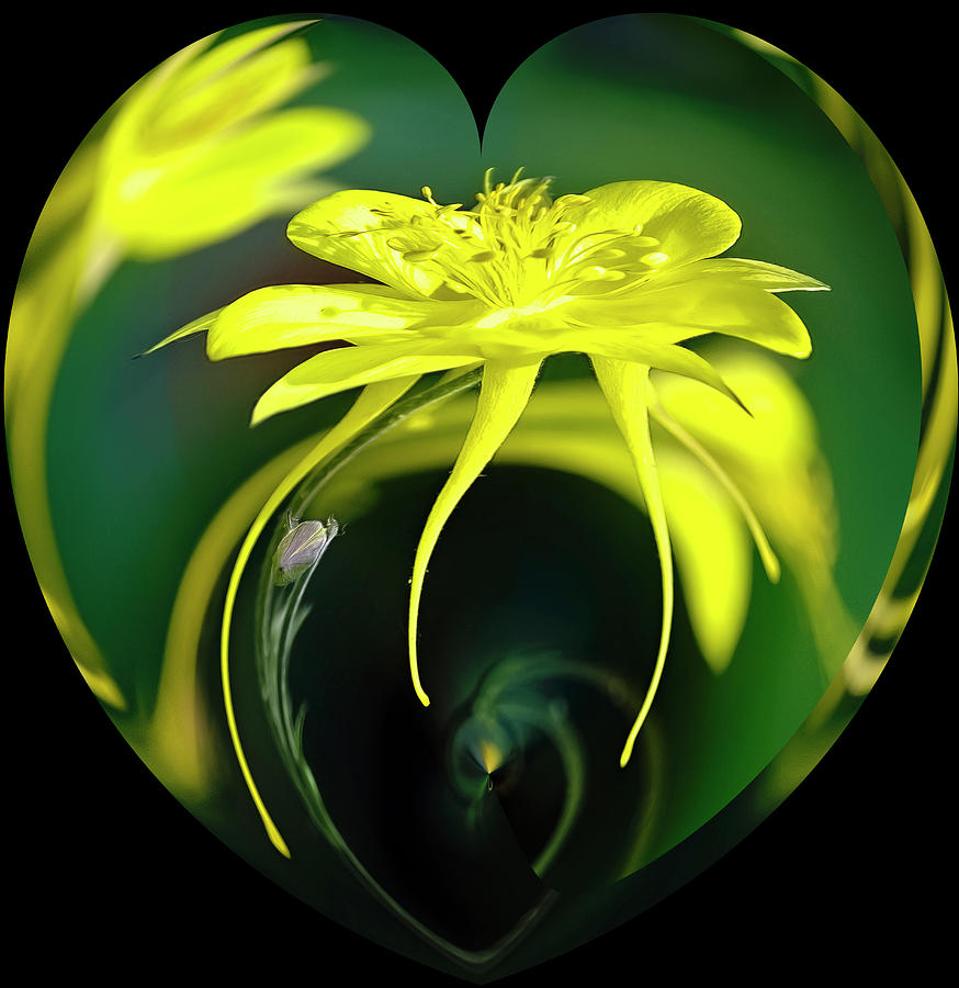 Floral Love by PAUL COCO Floral Love by PAUL COCO