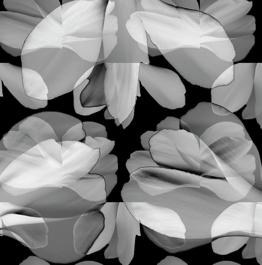 Floral Petals Upon Petals Digital Art by Eversofine