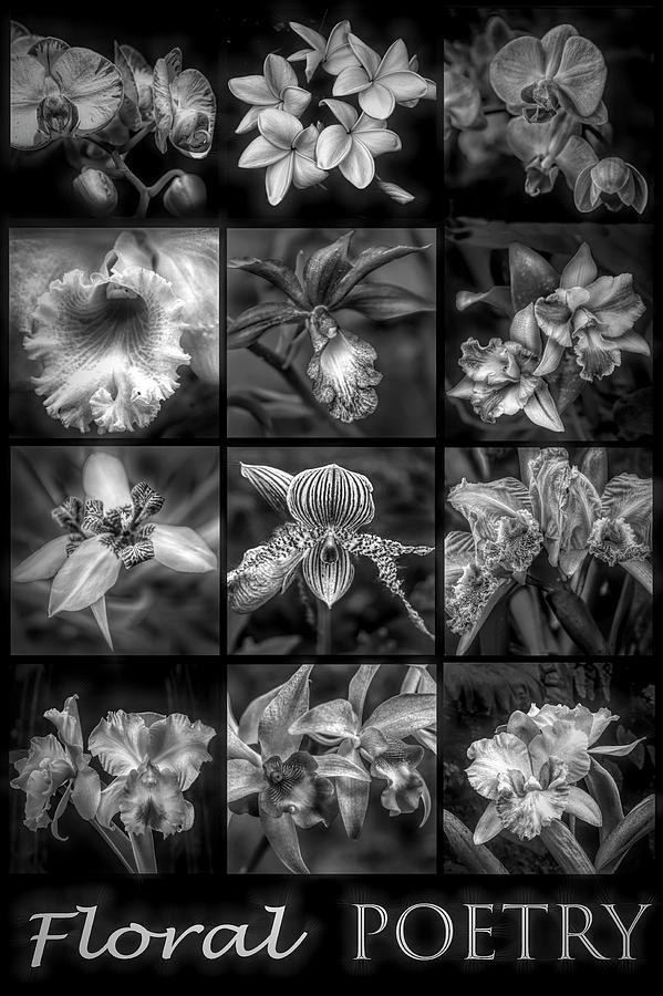 Floral Poetry in Black and White Photograph by Debra and Dave Vanderlaan