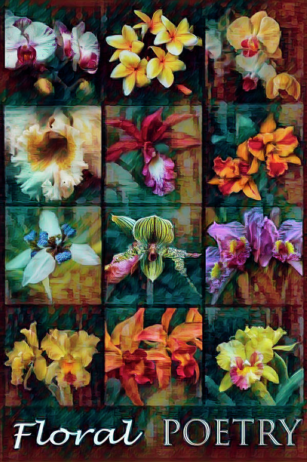 Floral Poetry in Caribbean Colors Photograph by Debra and Dave Vanderlaan