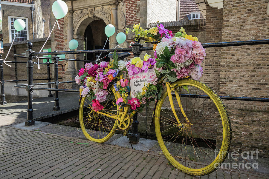 Floral Publicity Bike Photograph by Eva Lechner