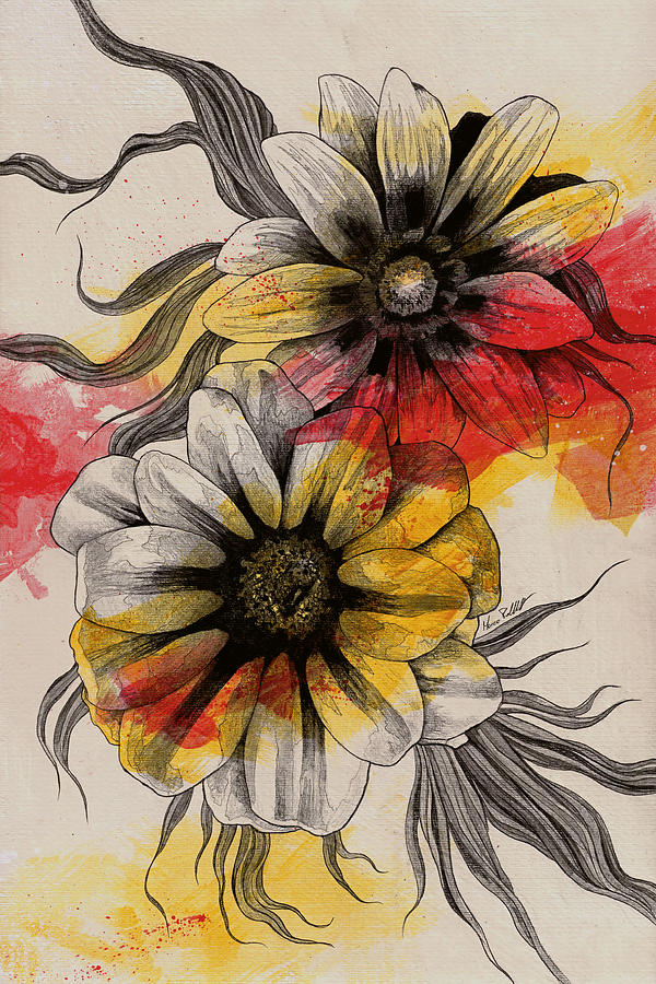 Daisy Drawing - Floral Series - Gazania Rigens by Marco Paludet