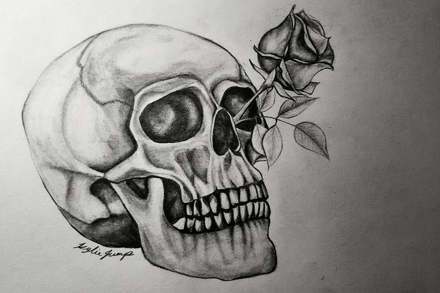 Dead skull with rose flowers sketch, Canvas Print | Barewalls Posters &  Prints | bwc40780050