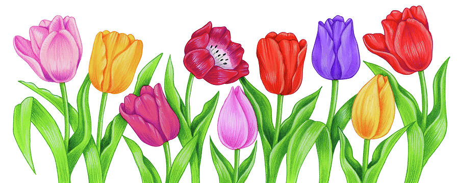 Spring Digital Art - Floral Tulips by Kimura Designs