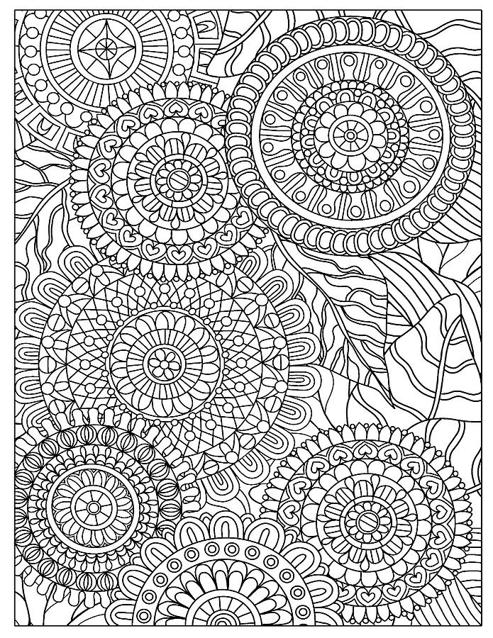 Flower Drawing - Florals 18 by Kathy G. Ahrens