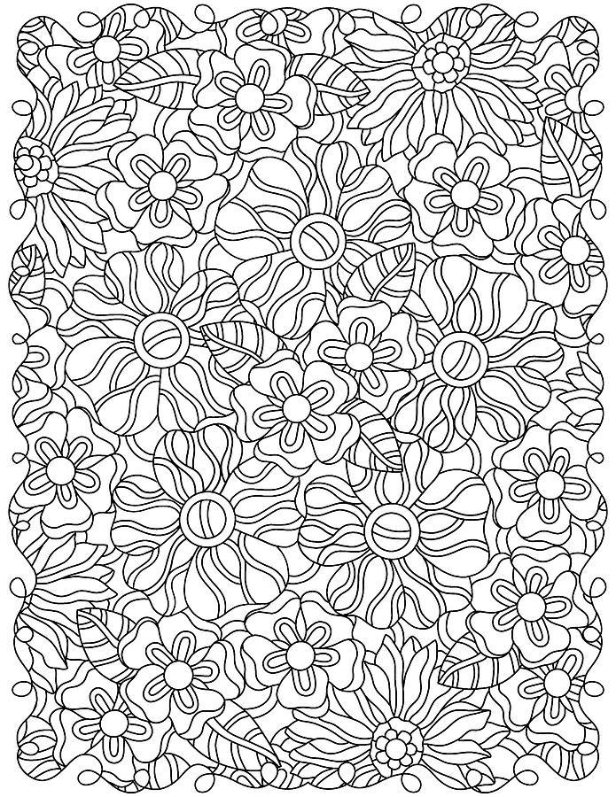Florals 6 Drawing by Kathy G. Ahrens - Fine Art America