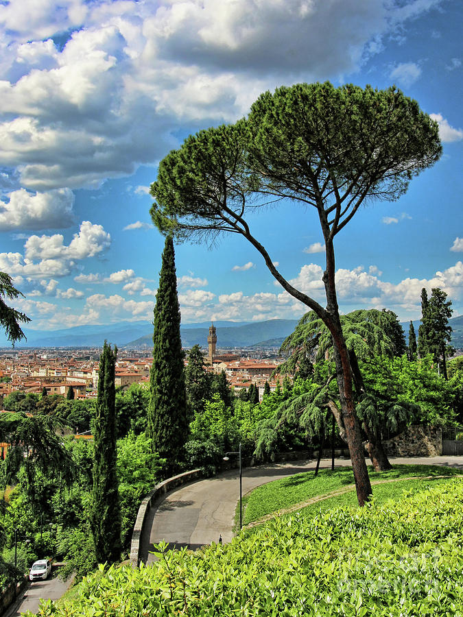 Florence Through the Trees 0297 Photograph by Jack Schultz