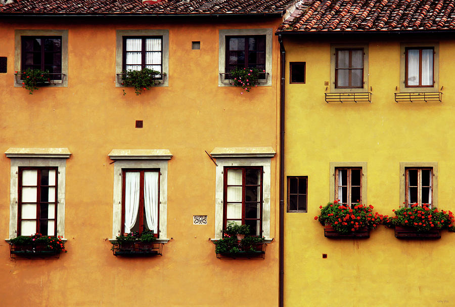 Architecture Photograph - Florence Windows and Flower Boxes by Kathy Yates