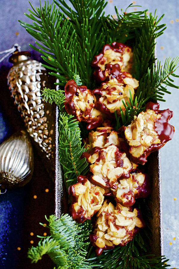 Florentines On Pine Sprigs Photograph by Sabine Mader