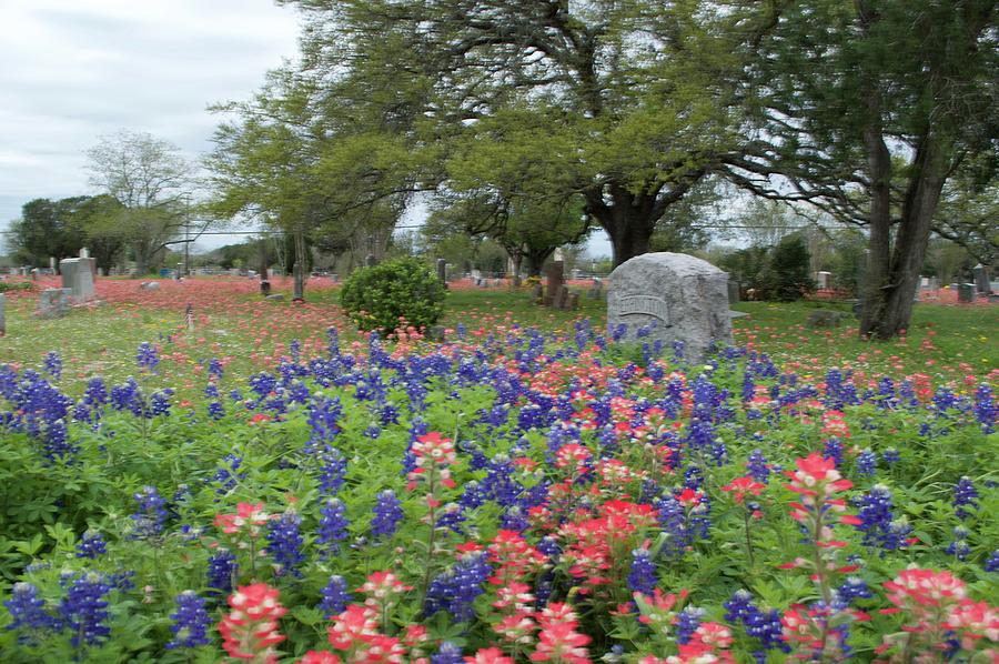 Floresville Cemetery Photograph by Melissa Torres