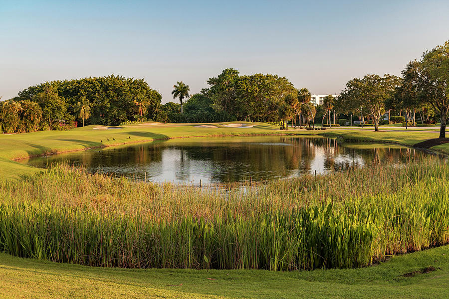 Florida, Boca Raton, Golf Course With Lake Digital Art by Laura Diez