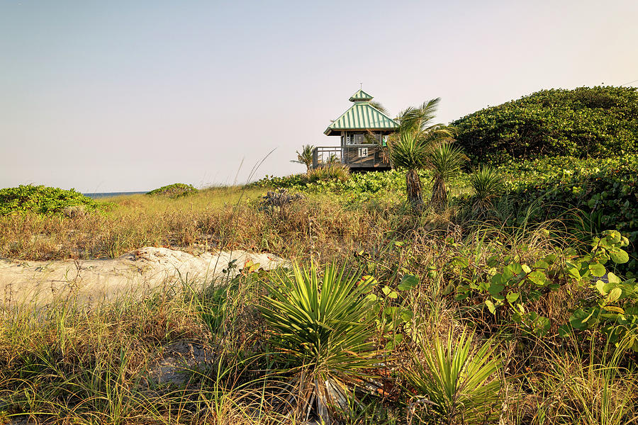 Florida, Boca Raton, Lifeguard Tower At The Beach Digital Art by Laura Diez