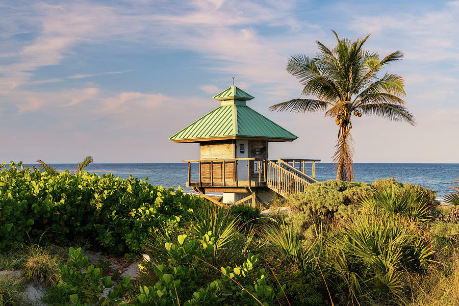 Florida, Boca Raton, Lifeguard Tower & Palm Tree On The Beach Digital Art by Laura Diez