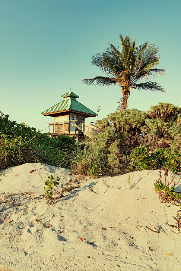 Florida, Boca Raton, Lifeguard Tower With Palm Tree At The Beach Digital Art by Laura Diez