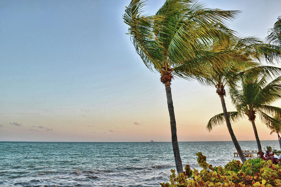 Beach Photograph - Florida Breezes by JAMART Photography