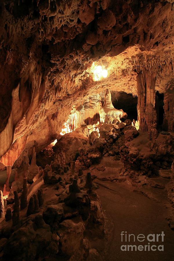 Florida Caverns State Park Photograph by Michael Szoenyi/science Photo Library