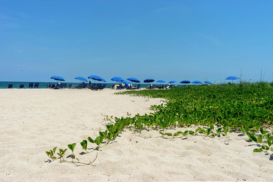 Florida, Clearwater, Indian Rocks Beach, Horizon With Umbrellas Digital Art by Gabriel Jaime Jimenez