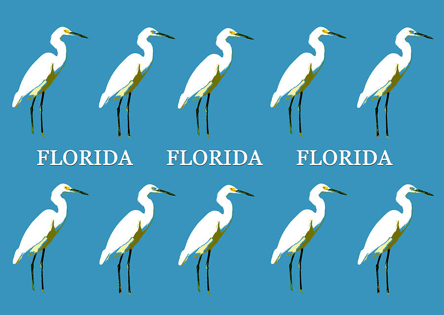 Florida Egrets work A Mixed Media by David Lee Thompson