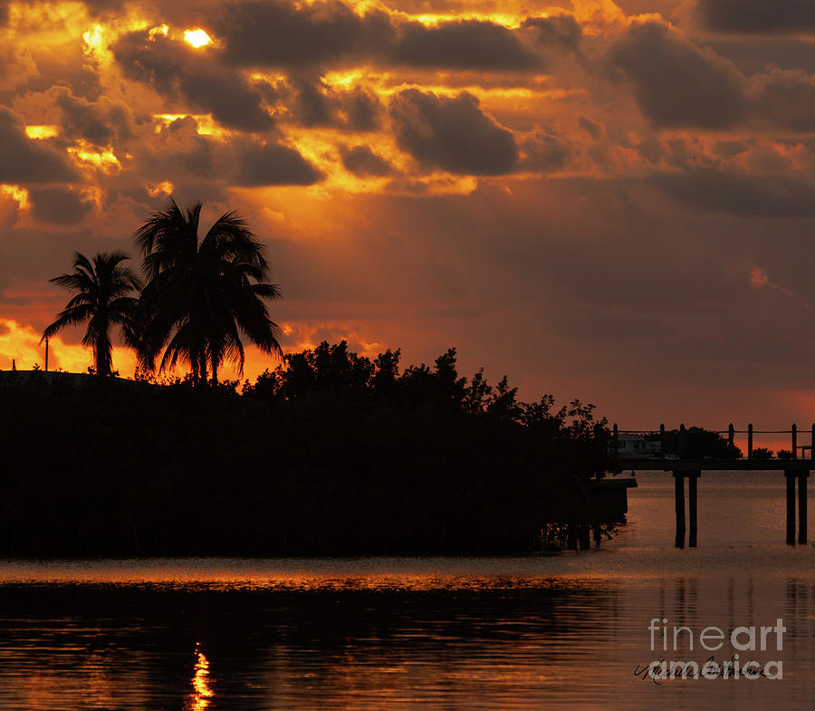 Florida Keys Sunset Photograph by Michelle Constantine