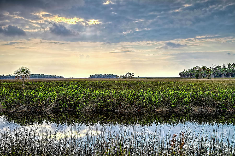 Florida Marsh At Sunset Photograph by Felix Lai - Fine Art America