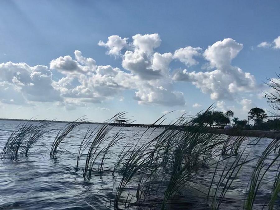 Florida Marshes Photography Photograph by Therese Kramer Of ...