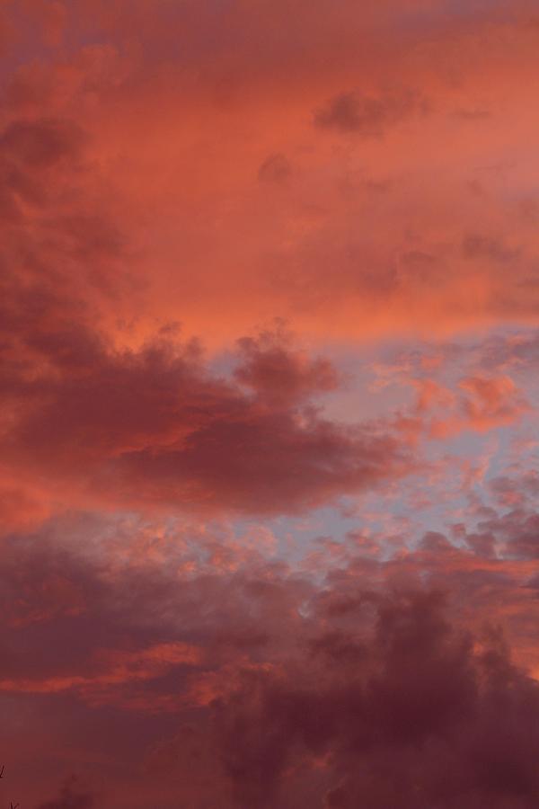 Florida May Sunset Beautifully Photograph by M E