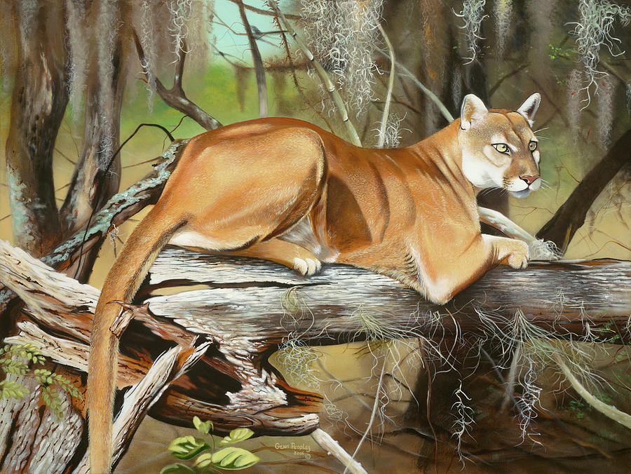 Florida Panther Painting - Florida Panther by Geno Peoples