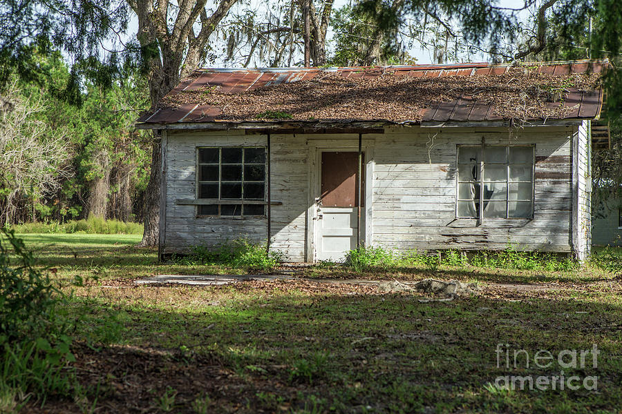 Florida Shack Photograph by Rick Mann - Fine Art America