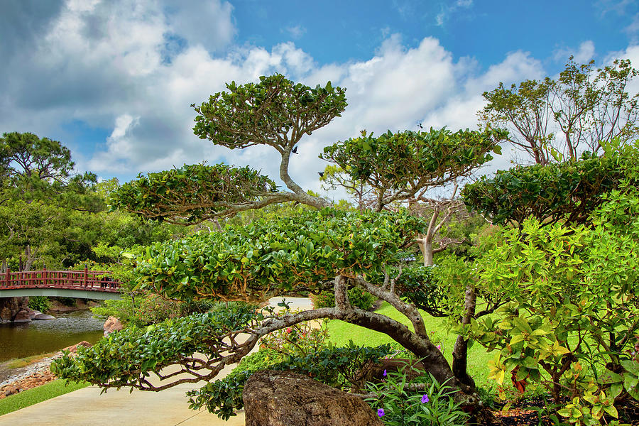 Florida, South Florida, Delray Beach, Morikami Japanese Gardens Digital Art by Lumiere