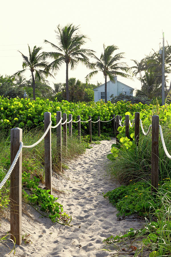 Florida, South Florida, Delray Beach, Pathway On Beach Digital Art by Laura Diez