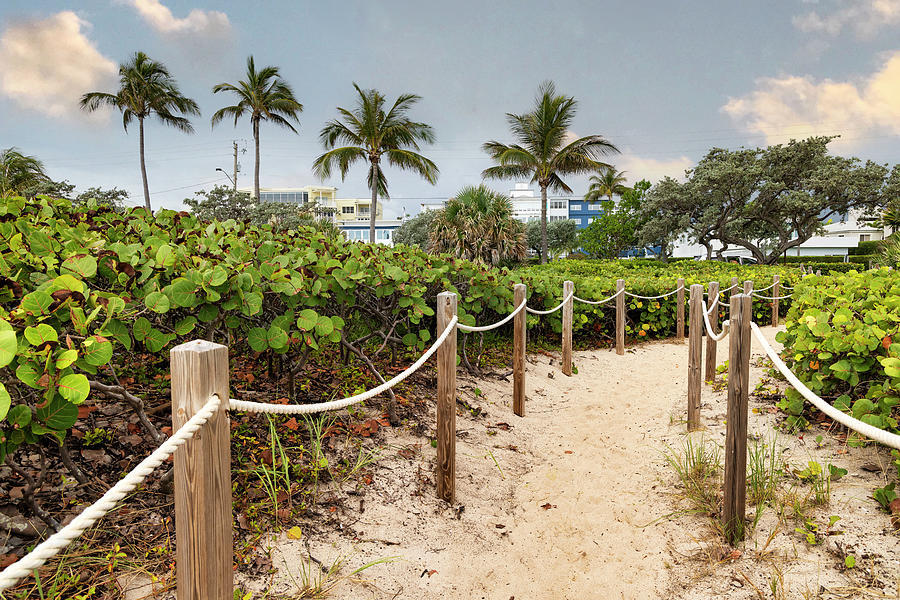 Florida, South Florida, Delray Beach, Pathway On The Beach Digital Art by Laura Diez